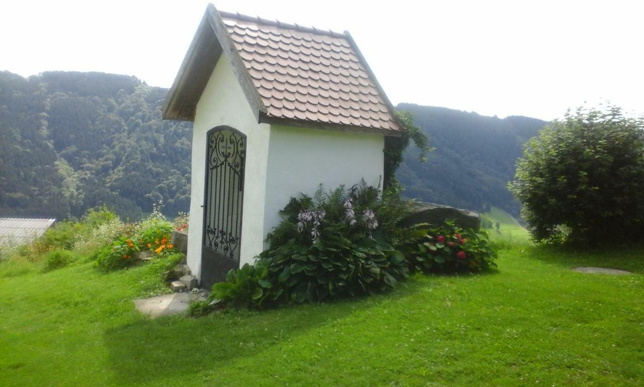 Eselgut Villa Hofkirchen im Mühlkreis Buitenkant foto